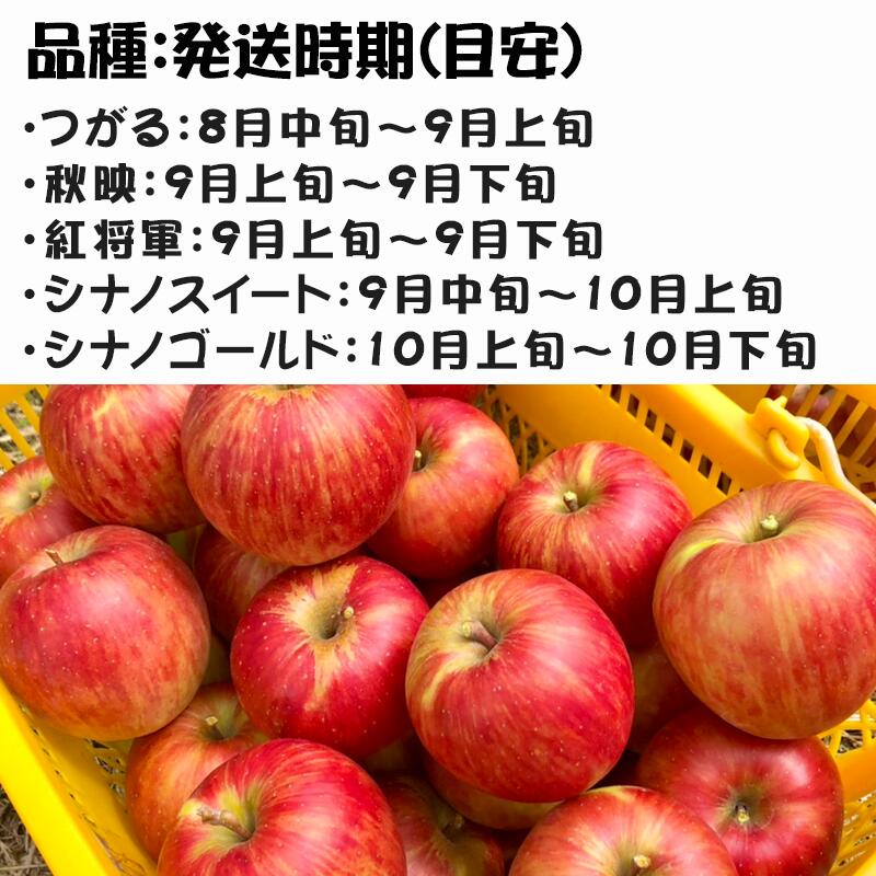 【ふるさと納税】『先行予約』【令和8年8月中旬発送】厳選 九州旬のりんご 3キロ箱(8～12玉入) 九州 リンゴ 林檎 フルーツ 果物 つるが 秋映 紅将軍 シナノスイート シナノゴールド 3kg サムネイル2