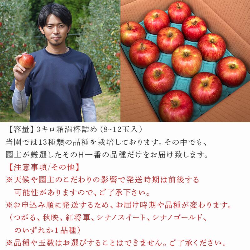 【ふるさと納税】『先行予約』【令和8年8月中旬発送】厳選 九州旬のりんご 3キロ箱(8～12玉入) 九州 リンゴ 林檎 フルーツ 果物 つるが 秋映 紅将軍 シナノスイート シナノゴールド 3kg サムネイル3