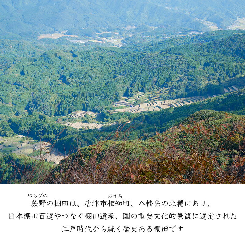 【ふるさと納税】特別栽培棚田米「蕨野」5kg×2袋(合計10kg) 家庭排水が一切入らない自然水で作られたお米 10日に1回精米で新米のような味わい - 画像2