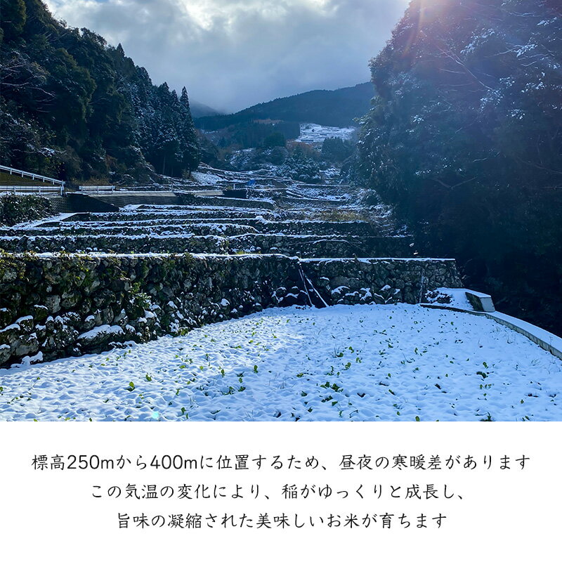 【ふるさと納税】特別栽培棚田米「蕨野」5kg×2袋(合計10kg) 家庭排水が一切入らない自然水で作られたお米 10日に1回精米で新米のような味わい - 画像3