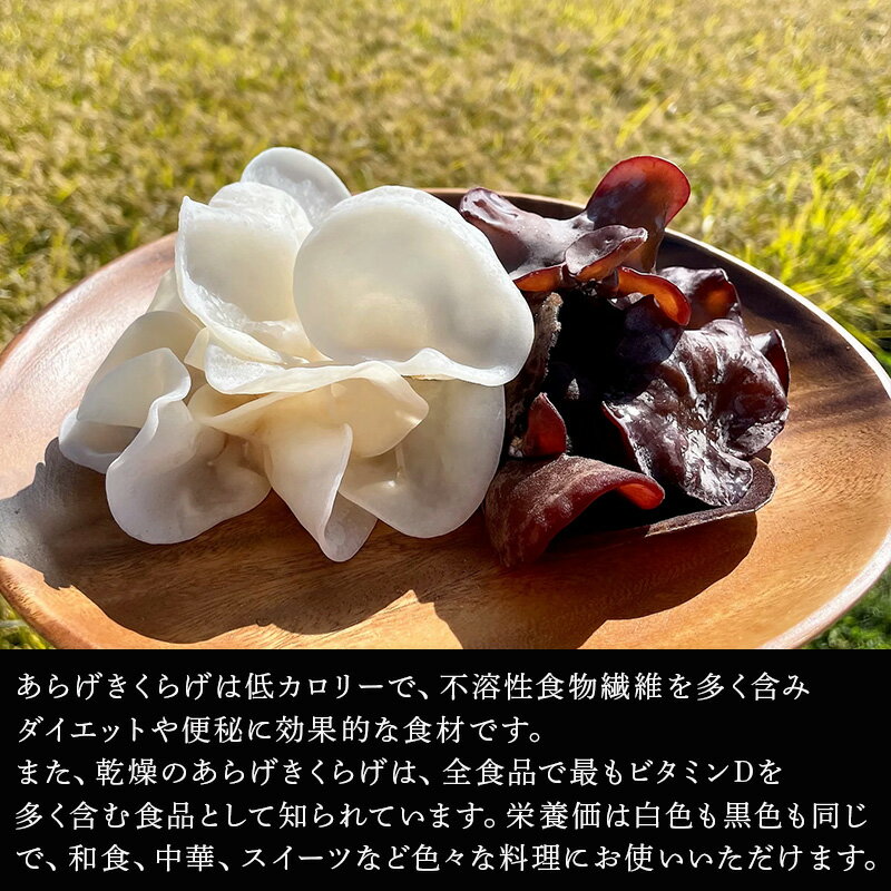 【ふるさと納税】ノウフクJAS認証 乾燥きくらげ 2種セット(しろかがみ30g・くろかがみ35g) 唐津市産 キクラゲ 木耳 きのこ 食物繊維 和食 中華 洋食 料理「2026年 令和8年」 - 画像3