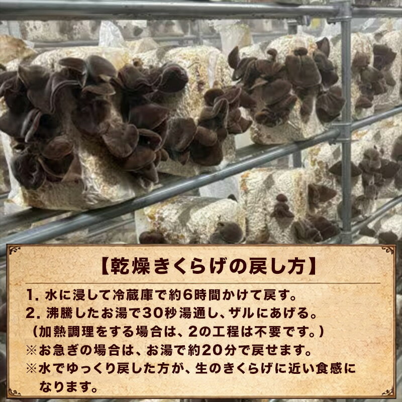 【ふるさと納税】ノウフクJAS認証 唐津市産 乾燥きくらげ 乾燥しいたけセット きのこ スライス 丸 - 画像3