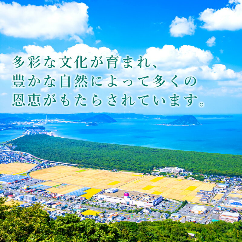 【ふるさと納税】佐賀県唐津市の対象施設で使える楽天トラベルクーポン30,000円分(寄付額100,000円)体験 チケット クーポン 旅行 旅 券 温泉 宿泊 サムネイル3