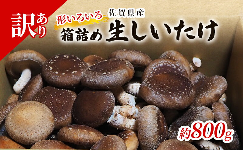 【ふるさと納税】訳あり しいたけ 佐賀県産 箱生しいたけ 約800g 訳アリ 椎茸 きのこ - 画像2