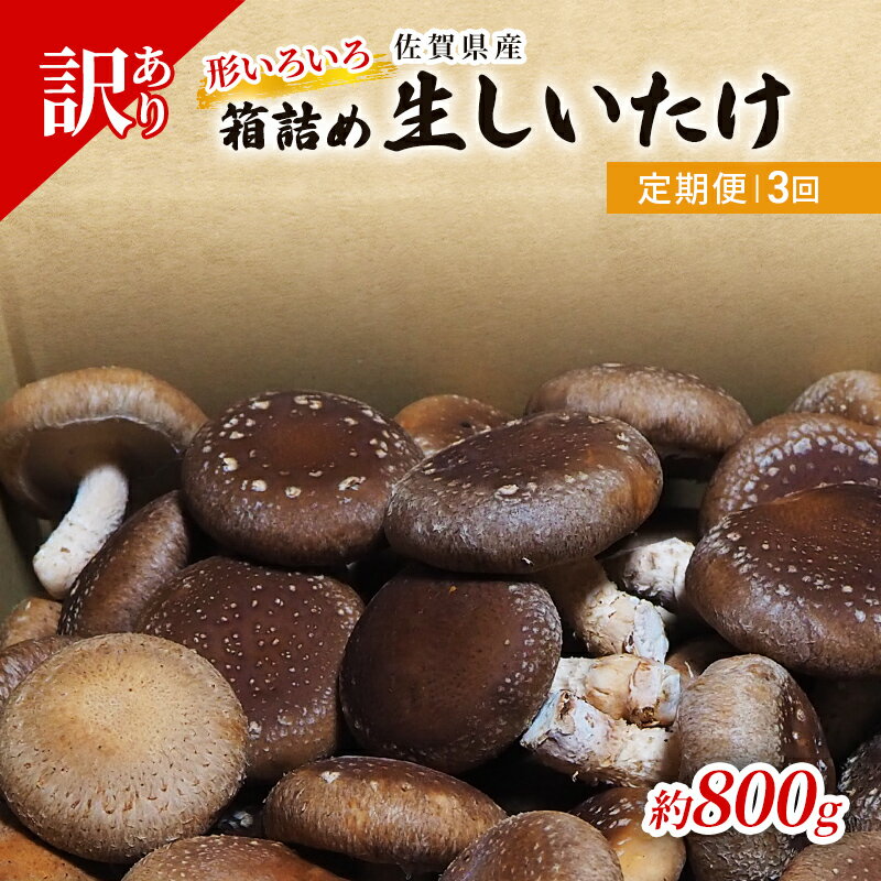 定期便 3ヶ月 訳あり しいたけ 佐賀県産 箱生しいたけ 約800g 訳アリ 椎茸 きのこ 3回 お楽しみ