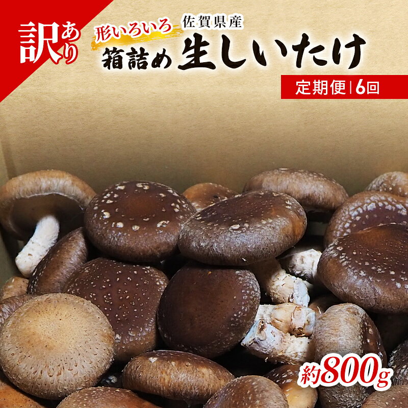 定期便 6ヶ月 訳あり しいたけ 佐賀県産 箱生しいたけ 約800g 訳アリ 椎茸 きのこ 6回 お楽しみ