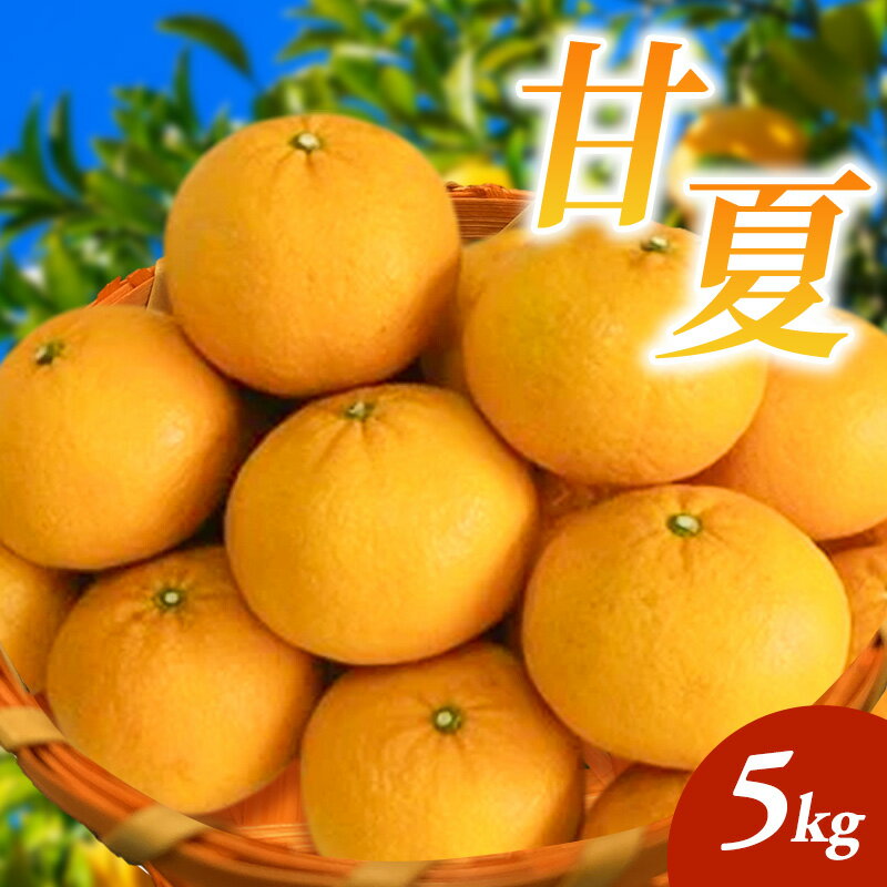 甘夏 5kg 柑橘 果物 フルーツ デザート ※配送不可:離島　お届け：2026年4月中旬～5月下旬まで