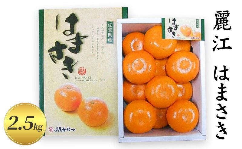 【ふるさと納税】【麗江】はまさき 2.5kg 柑橘 果物 フルーツ デザート ※配送不可:離島　お届け：2026年2月上旬～2月中旬まで サムネイル2