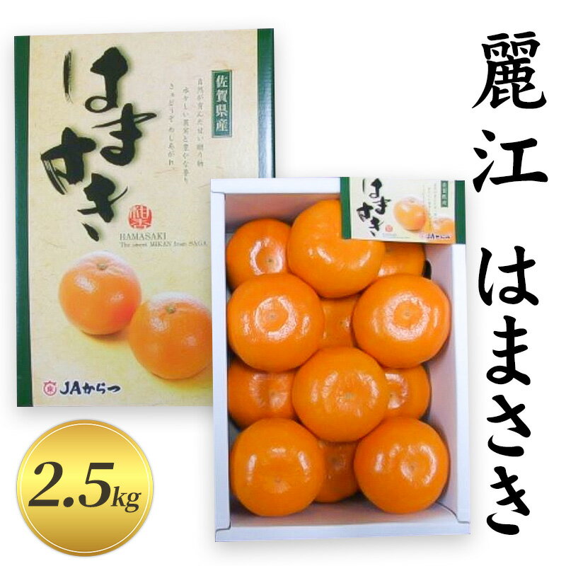 【麗江】はまさき 2.5kg 柑橘 果物 フルーツ デザート ※配送不可:離島　お届け：2026年2月上旬～2月中旬まで