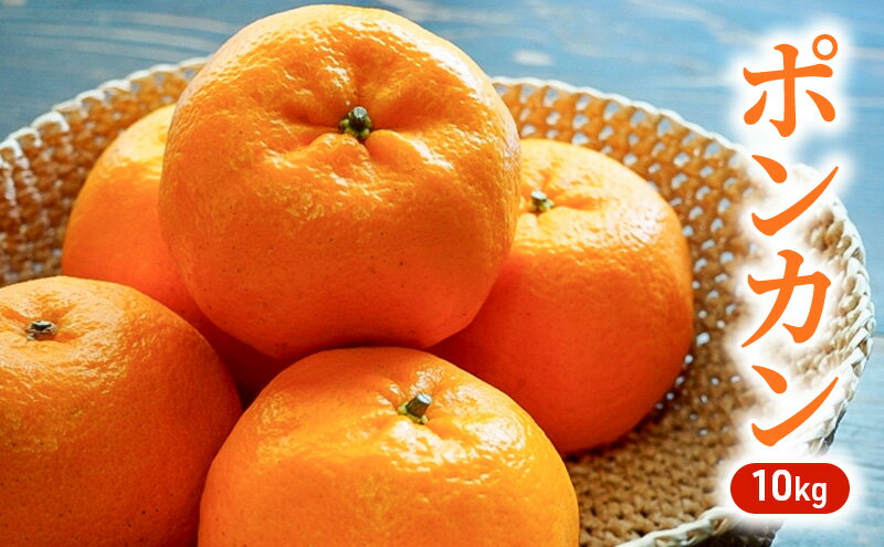 【ふるさと納税】ポンカン 10kg 柑橘 果物 フルーツ デザート ※配送不可:離島　お届け：2026年1月上旬～1月下旬まで サムネイル2