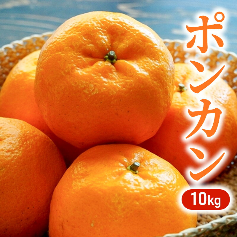 ポンカン 10kg 柑橘 果物 フルーツ デザート ※配送不可:離島　お届け：2026年1月上旬～1月下旬まで