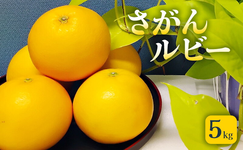 【ふるさと納税】グレープフルーツ さがんルビー 5kg 柑橘 果物 フルーツ デザート ※配送不可:離島　お届け：2026年3月中旬～4月上旬まで サムネイル2