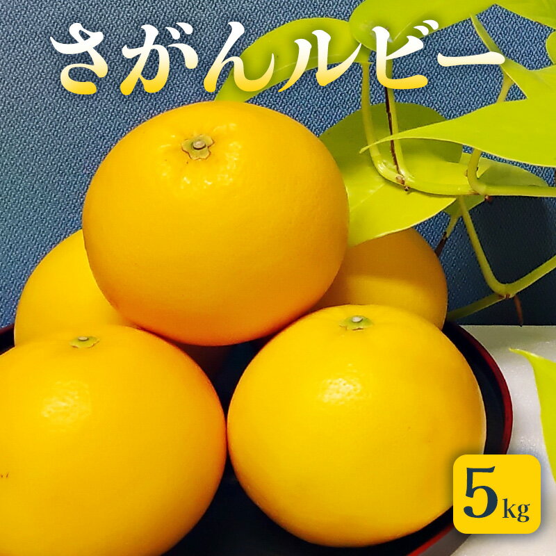 グレープフルーツ さがんルビー 5kg 柑橘 果物 フルーツ デザート ※配送不可:離島　お届け：2026年3月中旬～4月上旬まで