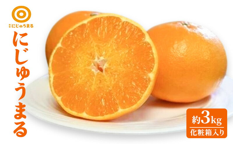 【ふるさと納税】にじゅうまる 約3kg（化粧箱入り） 柑橘 果物 フルーツ デザート ※配送不可:離島　お届け：2026年3月上旬～3月末まで サムネイル2