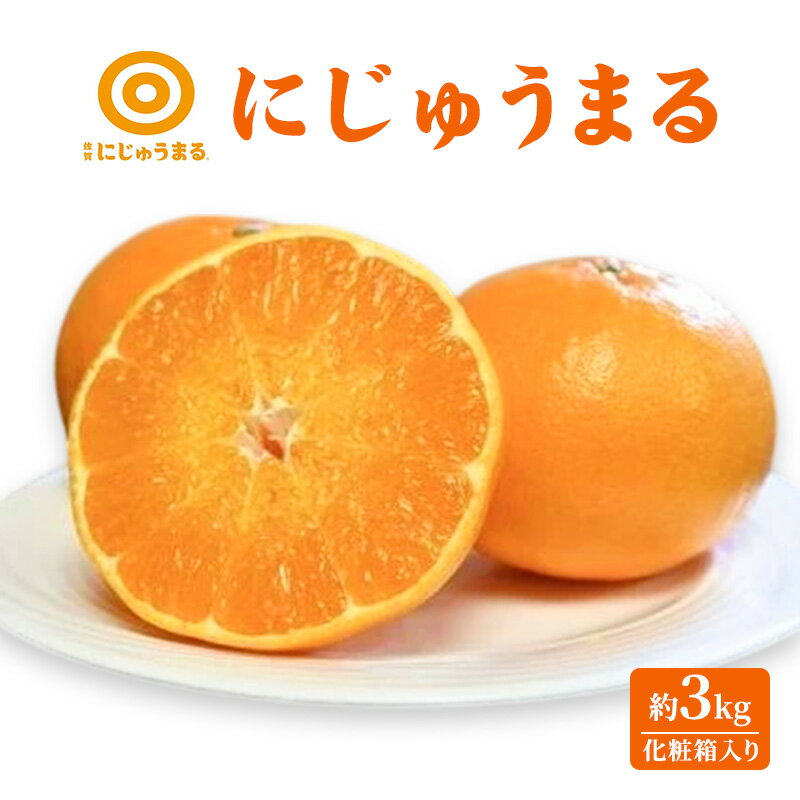 にじゅうまる 約3kg（化粧箱入り） 柑橘 果物 フルーツ デザート ※配送不可:離島　お届け：2026年3月上旬～3月末まで