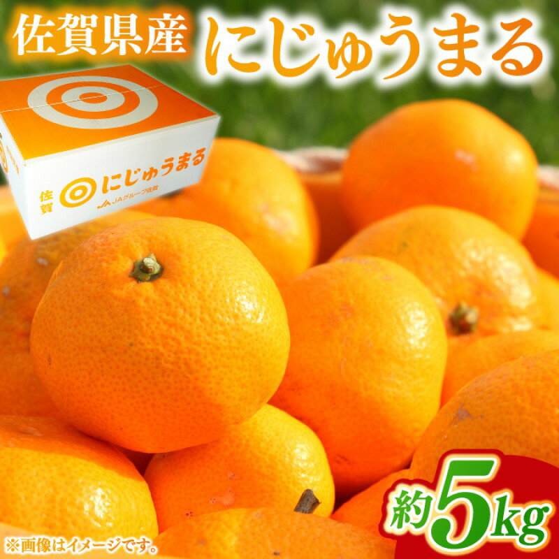 みかん 家庭用 佐賀県産 にじゅうまる 約5kg 柑橘類 ※配送不可：北海道、沖縄県、離島　お届け：2026年2月下旬～4月上旬