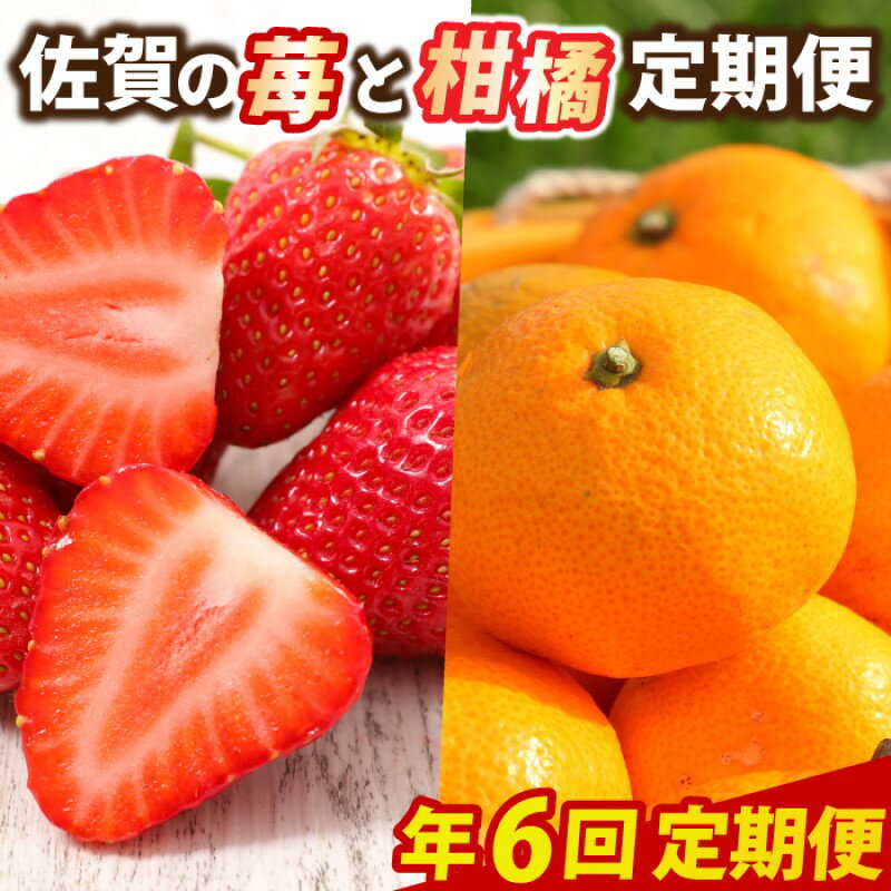 定期便 6回 佐賀の苺と柑橘定期便 いちご 柑橘 年6回 ※配送不可：北海道、沖縄県、離島　お届け：ご寄附(入金)頂いた月の次月回より配送開始となります