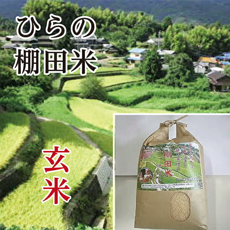 【令和7年産】 棚田米 夢しずく 玄米 10kg × 2袋 計 20kg ひらの棚田米 | 玄米 10キロ 2袋 計 20キロ こめ コメ 米 お米 ごはん _c-86