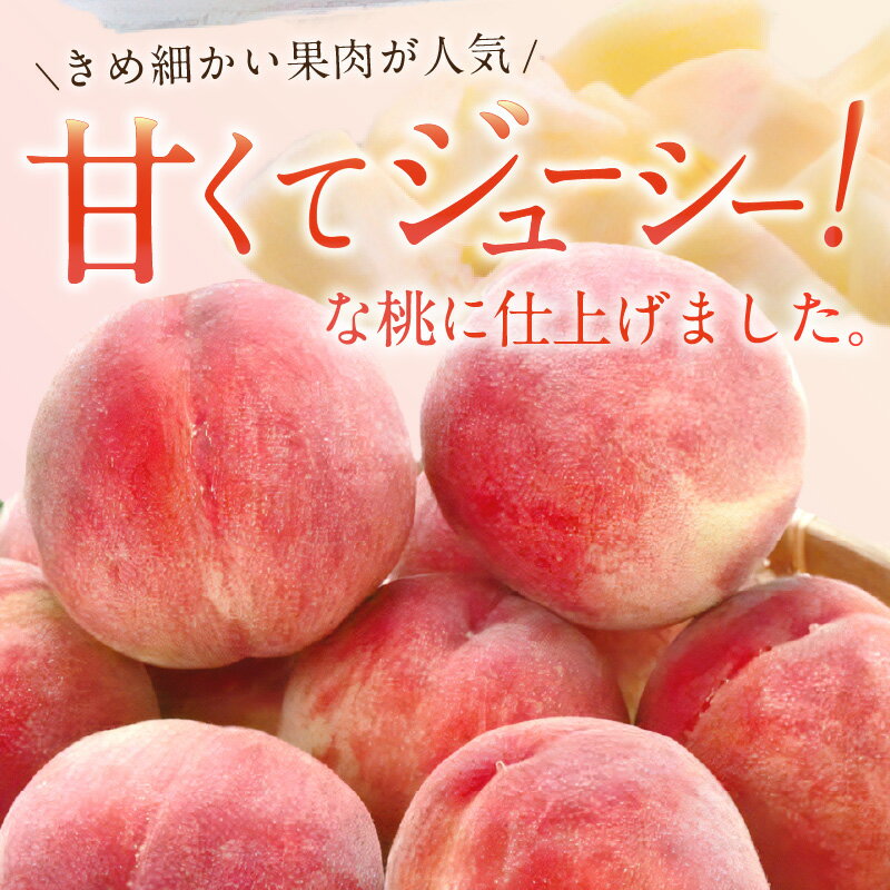 【ふるさと納税】【先行予約】伊万里の桃 2個×6パック 178-B970 - 画像3