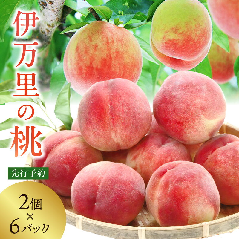 【先行予約】伊万里の桃 2個×6パック 178-B970