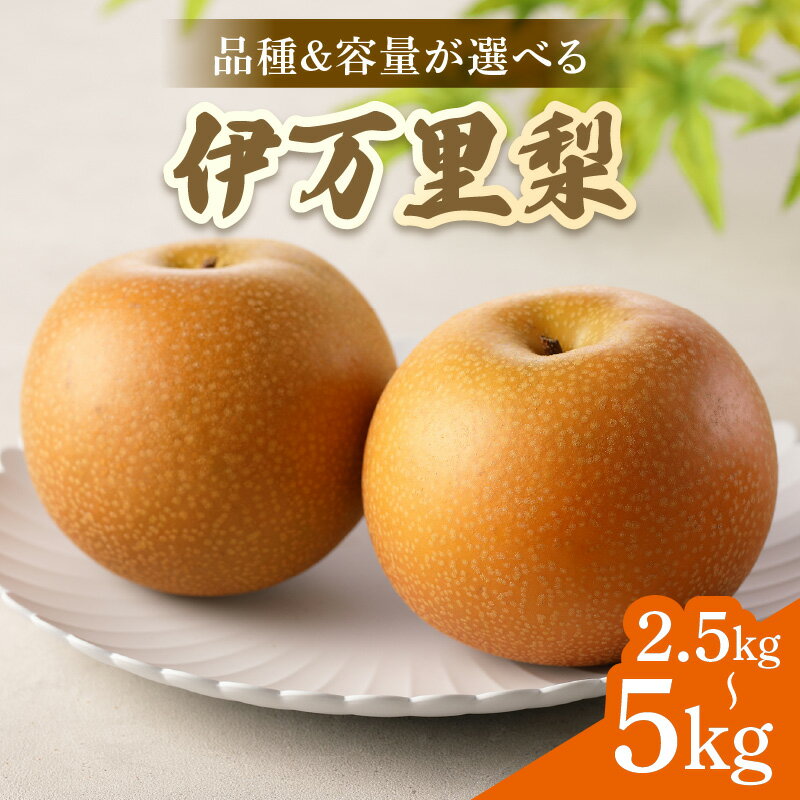 【2026年産先行予約】伊万里梨 ＜品種・容量が選べる／幸水 ・豊水・あきづき・新高・王秋・甘太・愛宕 ＞（ 2.5kg・5kg ）【 ふるさと納税 先行予約 梨 伊万里梨 幸水 ふるさと納税 果物 フルーツ なし 】
