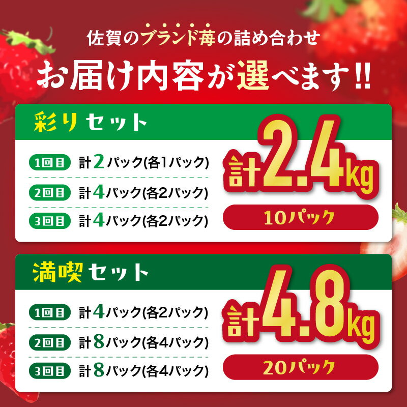 【ふるさと納税】佐賀産いちご「いちごさん」＆「さがほのか」定期便【全3回】＜内容量が選べる／彩りセット・満喫セット＞ 【 果物 フルーツ 苺 先行予約 ふるさと納税 果物 】 サムネイル2