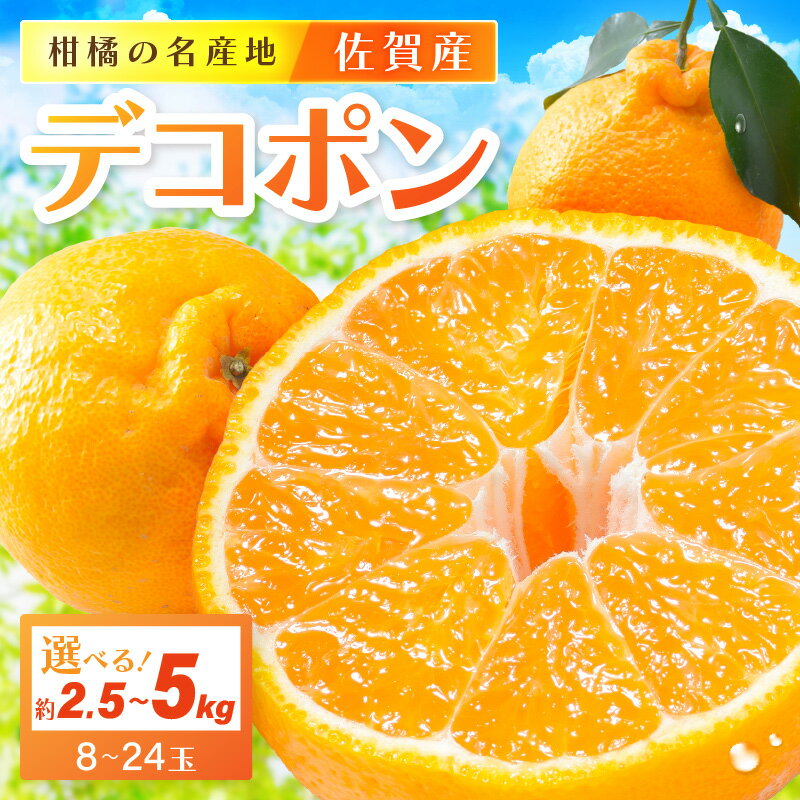 佐賀産 デコポン＜内容量が選べる／約2.5kg (8-11玉)・約5kg(15-24玉) ＞ (伊万里市) 柑橘類 【 果物 フルーツ 不知火 かんきつ みかん 蜜柑 オレンジ ふるさと納税 フルーツ 】