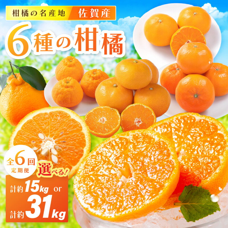 佐賀産 柑橘6種定期便【全6回】＜内容量が選べる／ 彩りセット・満喫セット＞ 【 果物 フルーツ みかん 蜜柑 オレンジ かんきつ 不知火 麗江 ふるさと納税 フルーツ 】