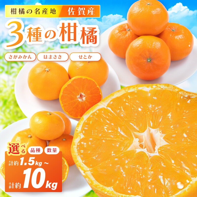 佐賀産みかん＜種類・内容量が選べる／さがみかん はまさき せとか 約1.5kg～約10kg箱＞【 みかん 果物 フルーツ くだもの 蜜柑 オレンジ かんきつ 甘い 濃厚 ジューシー 楽天ふるさと 送料無料 】