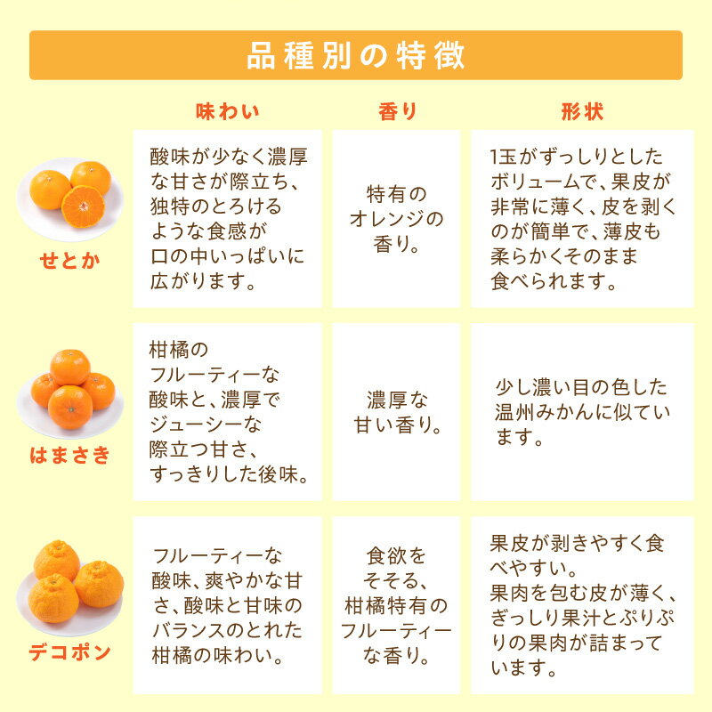 【ふるさと納税】佐賀産 柑橘定期便【全3回】せとか はまさき デコポン ＜内容量が選べる／ 彩りセット・満喫セット＞ 【 果物 フルーツ みかん 蜜柑 オレンジ かんきつ 不知火 麗江 ふるさと納税 フルーツ 】 サムネイル3