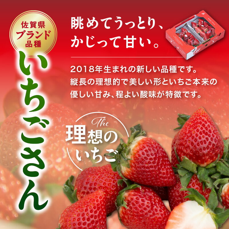 【ふるさと納税】佐賀産いちご「いちごさん」＆「さがほのか」定期便【全3回】＜内容量が選べる／彩りセット・満喫セット＞ 【 果物 フルーツ 苺 先行予約 ふるさと納税 果物 】 サムネイル3