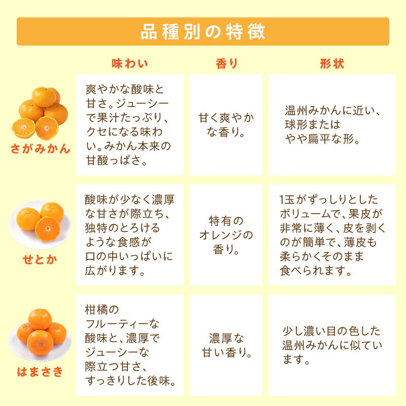 【ふるさと納税】佐賀産みかん＜種類・内容量が選べる／さがみかん はまさき せとか 約1.5kg～約10kg箱＞【 みかん 果物 フルーツ くだもの 蜜柑 オレンジ かんきつ 甘い 濃厚 ジューシー 楽天ふるさと 送料無料 】 サムネイル3