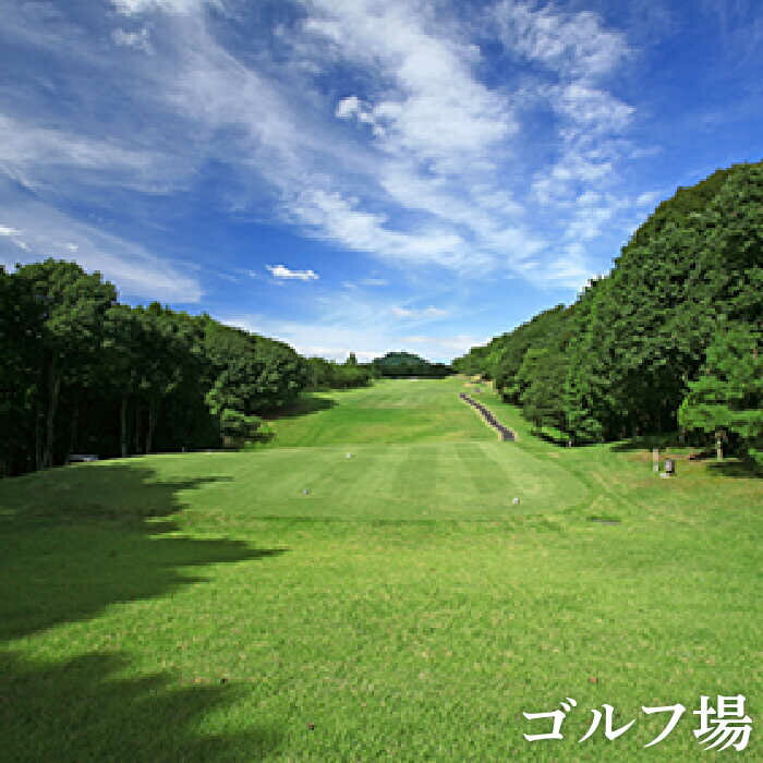 【ふるさと納税】プレイやお食事に！ ゴルフ場 武雄嬉野カントリークラブ 施設利用券 3枚 計15,000円分（5,000円×3）/武雄嬉野国際カントリークラブ [UAA001] ゴルフ ゴルフチケット 体験 プレー券 サムネイル3