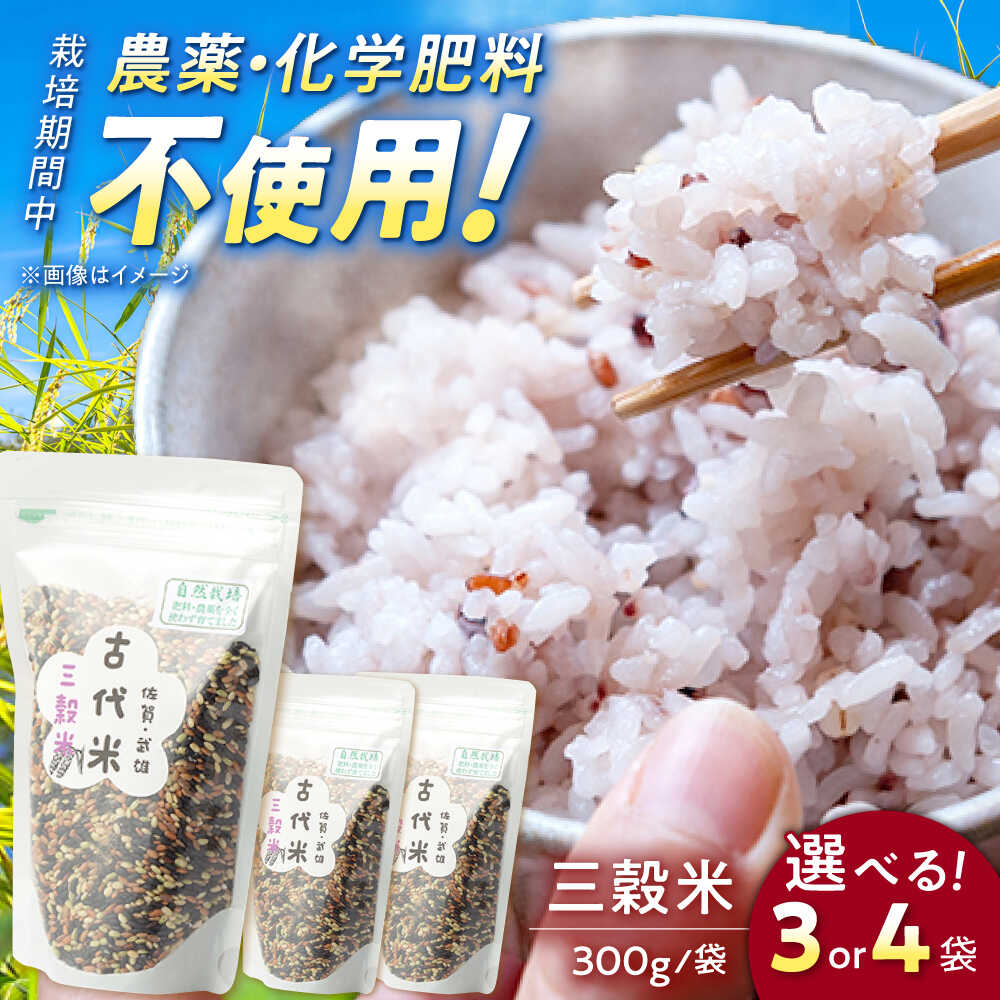 【選べる内容量】自然農法で育てた 古代米 三穀米 （黒米・赤米・緑米） 900g（300g×3袋）/ 1.2kg（300g×4袋） /永尾忠則 [UAS002] 雑穀 雑穀米 お米 米