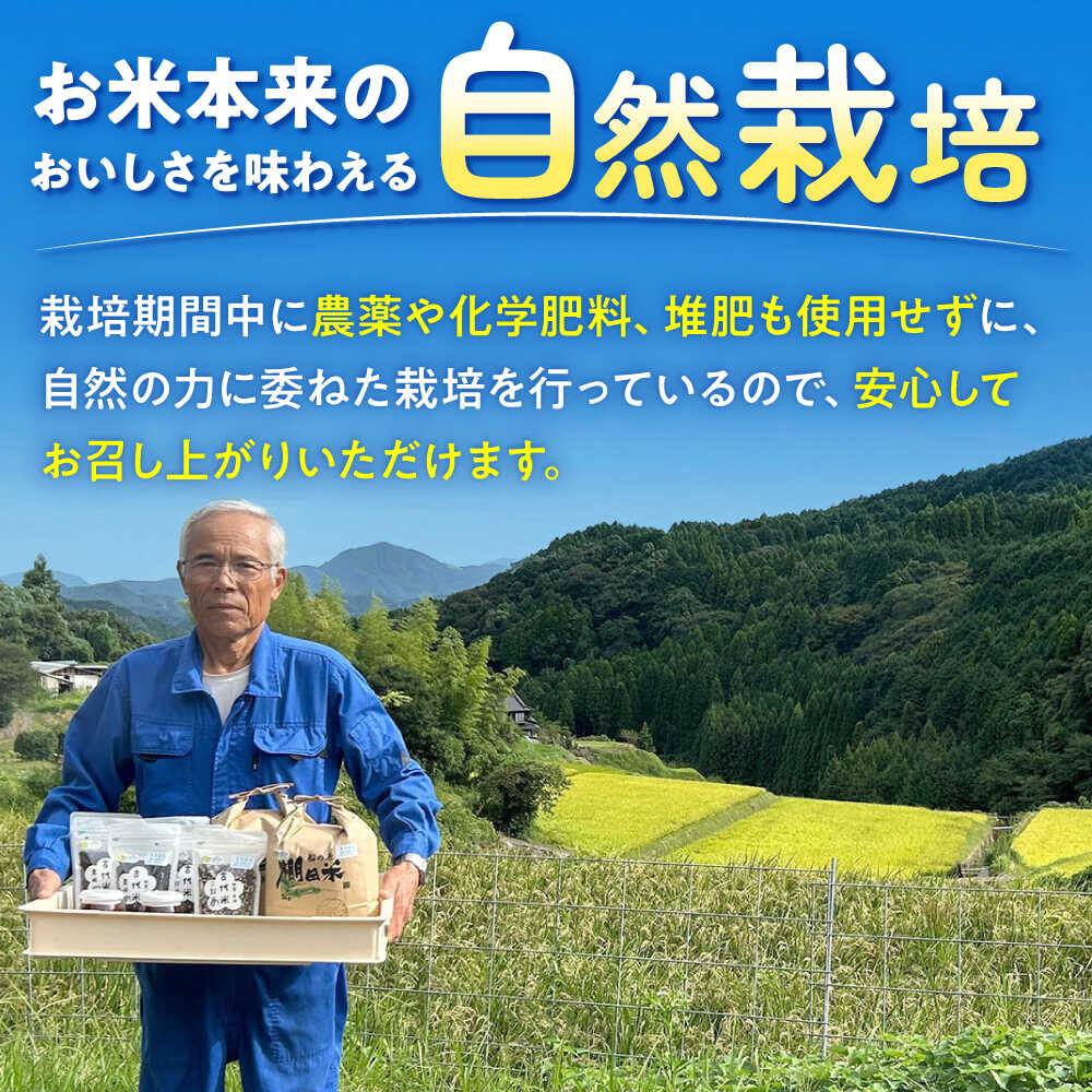 【ふるさと納税】【選べる内容量】自然農法で育てた 古代米 黒米 900g（300g×3袋）/ 1.2kg（300g×4袋） /永尾忠則 [UAS010] 雑穀 雑穀米 お米 米 - 画像3