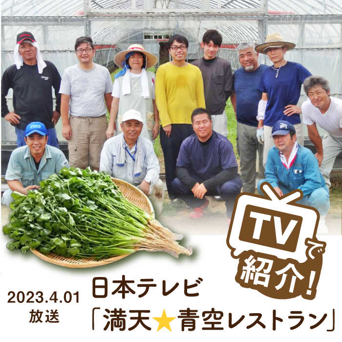 【ふるさと納税】＜満天☆青空レストランでご紹介＞パクチー好きのためのパクチー 1kg /江口農園 [UBF009] パクチー 野菜 エスニック 国産 - 画像3