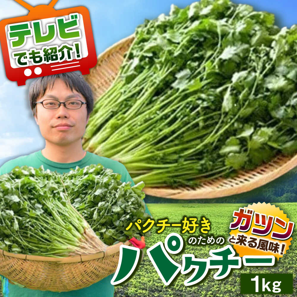 ＜満天☆青空レストランでご紹介＞パクチー好きのためのパクチー 1kg /江口農園 [UBF009] パクチー 野菜 エスニック 国産