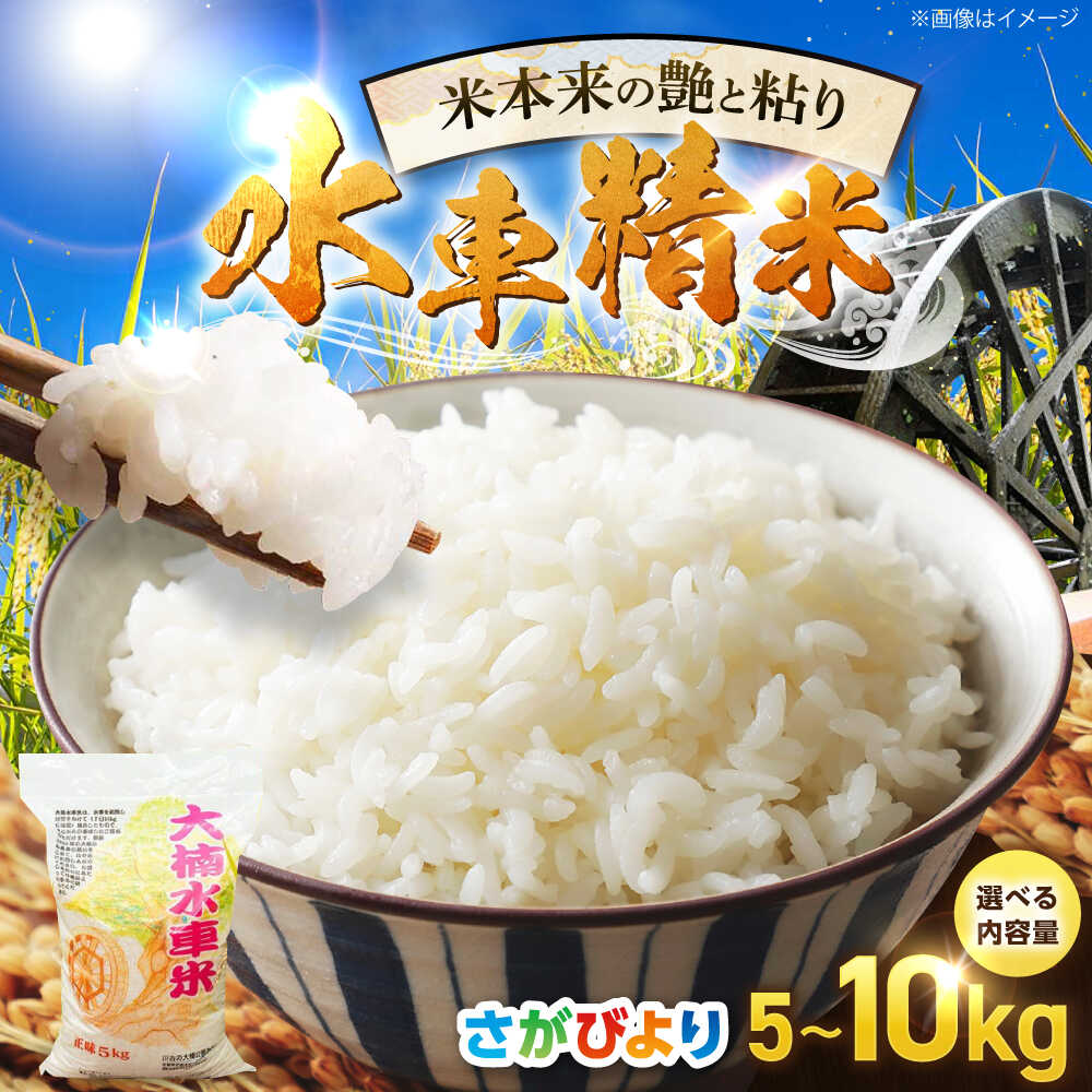 【選べる内容量】令和7年産米 大楠水車米 さがびより 5kg・10kg /若木町まちづくり推進協議会 [UBY003] 米 お米 ブランド米 さがびより 水車米 白米 精米