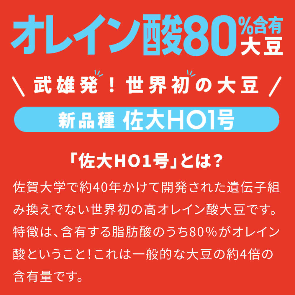 【ふるさと納税】【3回定期便】からだにうれしすぎる大豆 武雄産 高オレイン酸大豆 7種セット/武雄温泉物産館[UDO005] 大豆 お菓子 きなこ コーヒー 味噌 みそ 和菓子 定期便 - 画像2