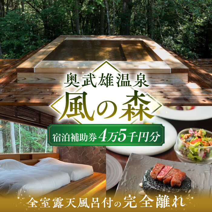 奥武雄温泉 風の森　宿泊補助券 4万5000円分 /奥武雄温泉 風の森[UEC002] 宿泊券 ギフト 温泉 宿泊ギフト券 ペア 宿泊券 武雄温泉 サウナ