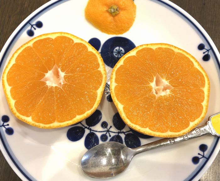 【ふるさと納税】 ”がばいふとか”鹿島産みかん 約12kg 大サイズ 2Lサイズ （7cm以上） ご家庭用 傷アリ みかん 蜜柑 ミカン フルーツ 果物 佐賀県 鹿島市 送料無料 【2026年1月下旬頃まで配送予定】 A-88 サムネイル2