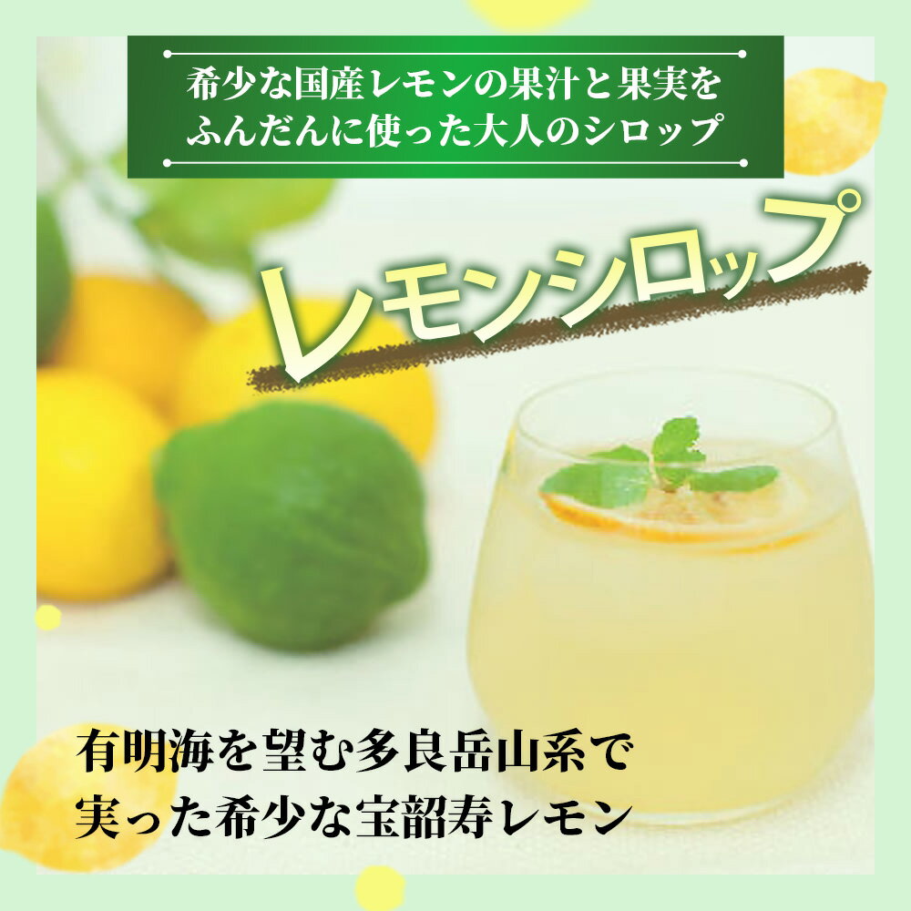 【ふるさと納税】希少な宝韶寿レモン使用｜無添加レモンシロップ（ピール入り）60g×8袋｜栄養士監修レシピ付き｜上質な国産柑橘の味わい｜（保存料 ・ 合成着色料 ・ 増粘多糖類 不使用）レモン 檸檬 れもん シロップ 佐賀県 鹿島市 送料無料A-97 サムネイル2