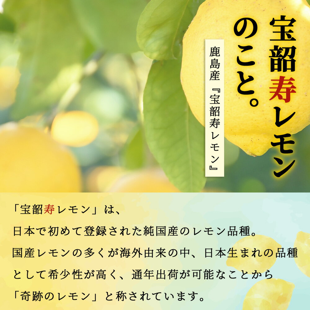 【ふるさと納税】★4.78【先行予約】無添加100％ 国産 レモン果汁 720ml × 3本 セット 計2160ml | ふるさと納税 レモン レモン果汁 果汁 檸檬 れもん 宝韶寿レモン 佐賀県 鹿島市 ふるさと 人気 送料無料 B-334 サムネイル3