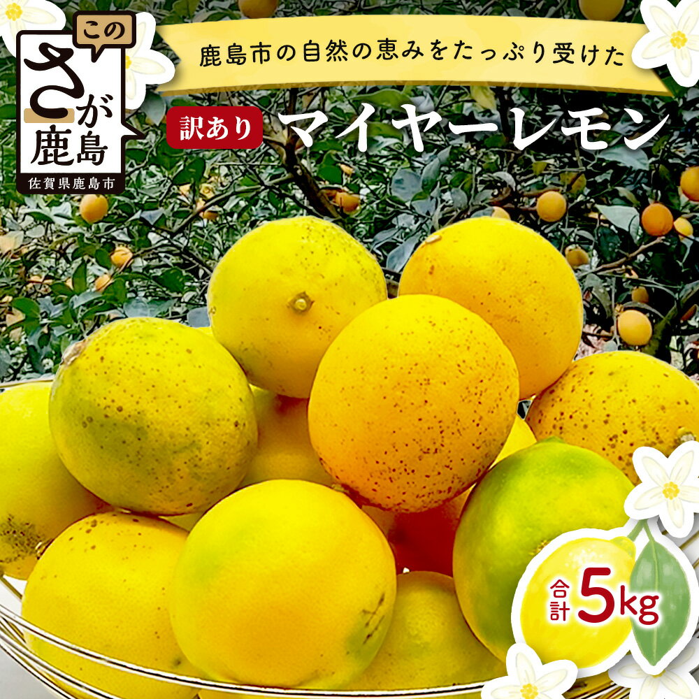 【先行予約】【訳あり】マイヤーレモン 5kg サイズ混合＼産地より農家直送／佐賀県 鹿島市産 果物 酸味 美味しい お酒 生絞り 果汁 料理 お菓子 家庭用 生活応援 オススメ【9月中旬頃より配送】A-191