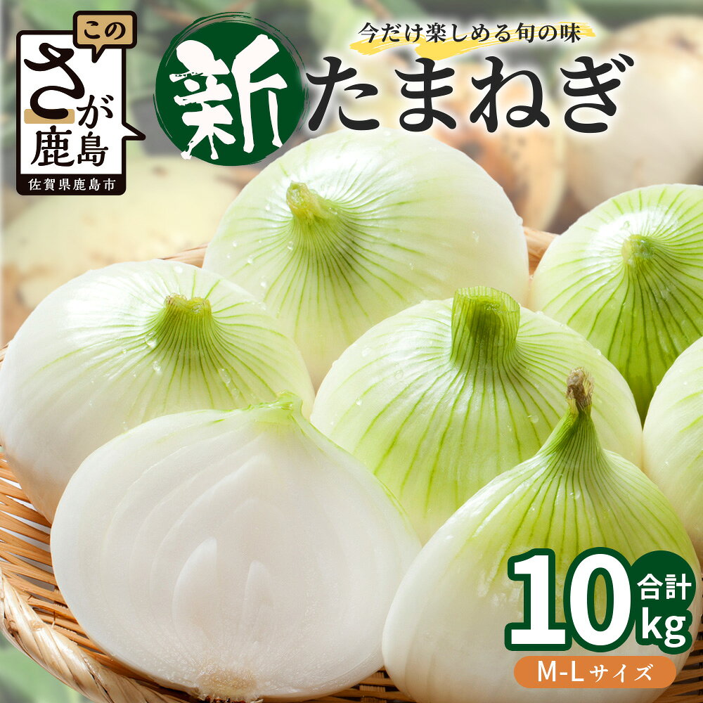 甘〜い！新鮮！新たまねぎ 約10kg (MLサイズ）生産者直送！★大自然育ち【2026年4月より順次発送】タマネギ 玉葱 新タマ 新玉ねぎ サラダ 惣菜 お料理 ストック 箱買 美味しい 甘い 常備野菜 佐賀県 鹿島市産 人気 送料無料 B-737