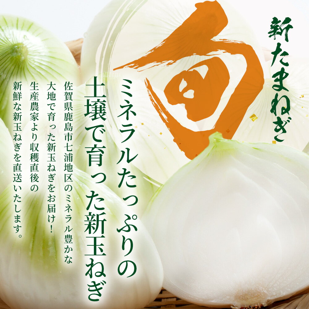 【ふるさと納税】 甘〜い！新鮮！新たまねぎ 約10kg (MLサイズ）生産者直送！★大自然育ち【2026年4月より順次発送】タマネギ 玉葱 新タマ 新玉ねぎ サラダ 惣菜 お料理 ストック 箱買 美味しい 甘い 常備野菜 佐賀県 鹿島市産 人気 送料無料 B-737 - 画像2