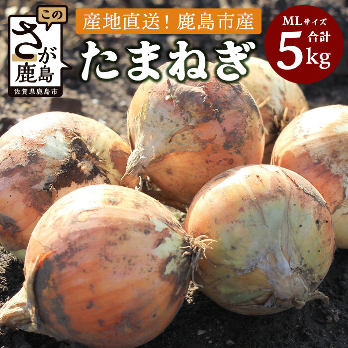 佐賀県鹿島産たまねぎ 約5kg（MLサイズ）【先行予約】永吉家の愛情詰まった玉ねぎ★2026年5月より発送　 人気 野菜 玉ねぎ 料理 オニオン ストック 万能野菜 保存 常備菜 佐賀県 鹿島市 送料無料 A-179