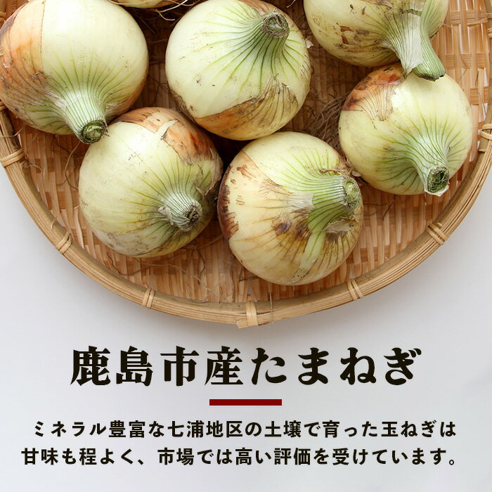 【ふるさと納税】佐賀県鹿島産たまねぎ 約5kg（MLサイズ）【先行予約】永吉家の愛情詰まった玉ねぎ★2026年5月より発送　 人気 野菜 玉ねぎ 料理 オニオン ストック 万能野菜 保存 常備菜 佐賀県 鹿島市 送料無料 A-179 - 画像3