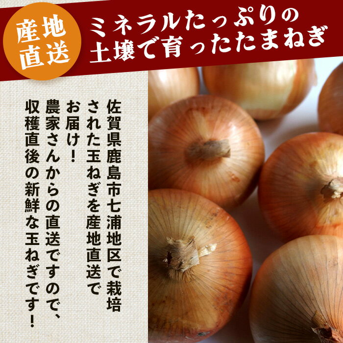 【ふるさと納税】佐賀県鹿島産たまねぎ 約5kg（MLサイズ）【先行予約】永吉家の愛情詰まった玉ねぎ★2026年5月より発送　 人気 野菜 玉ねぎ 料理 オニオン ストック 万能野菜 保存 常備菜 佐賀県 鹿島市 送料無料 A-179 - 画像2