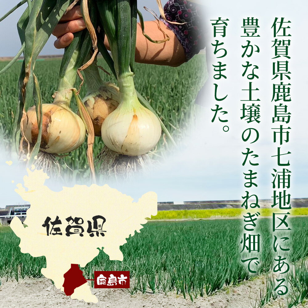 【ふるさと納税】 甘〜い！新たまねぎ 約5kg (MLサイズ）生産者直送！★大自然育ち【2026年4月より順次発送】タマネギ 玉葱 新タマ 新玉ねぎ サラダ 惣菜 お料理 ストック 箱買 美味しい 甘い 常備野菜 佐賀県 鹿島市産 人気 送料無料 A-180 - 画像3